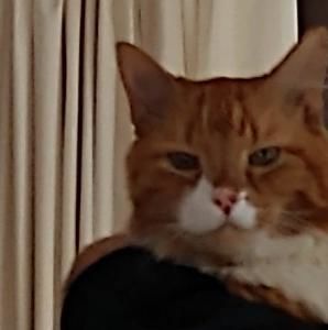 Meet your Posher, Deborah